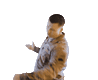 CARRB